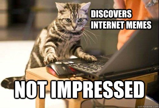 discovers internet memes not impressed   Angry Computer Cat