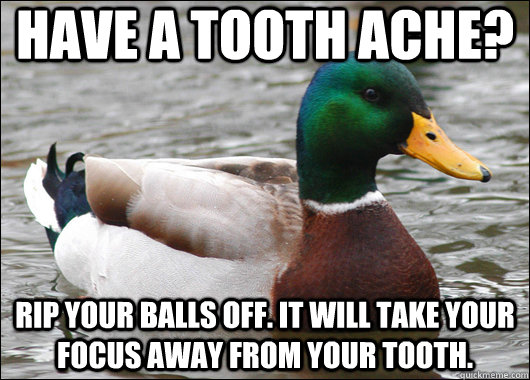 have a tooth ache? rip your balls off. it will take your focus away from your tooth.  Actual Advice Mallard