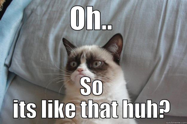 OH.. SO ITS LIKE THAT HUH? Grumpy Cat