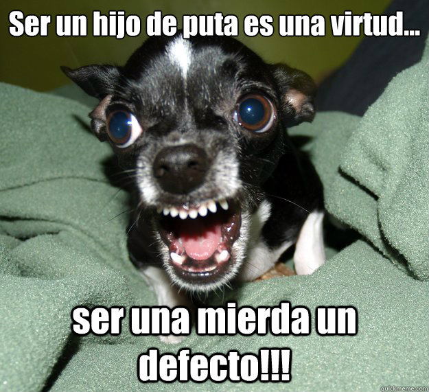 Ser un hijo de puta es una virtud...  ser una mierda un defecto!!!  Chihuahua Logic