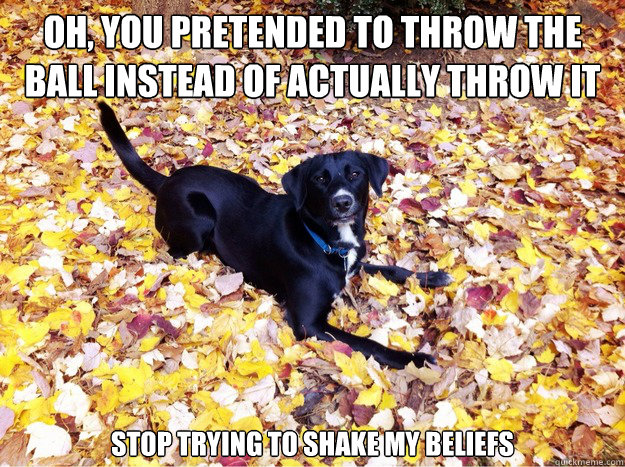 Oh, you pretended to throw the ball instead of actually throw it Stop trying to shake my beliefs  Guilt Giving Good Dog