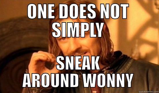 ONE DOES NOT SIMPLY SNEAK AROUND WONNY Boromir