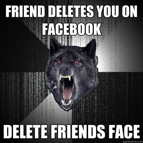 FRIEND DELETEs YOU ON FACEBOOK DELETE FRIENDS FACE  Insanity Wolf
