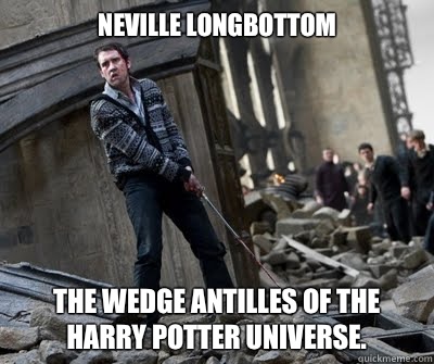 Neville Longbottom The Wedge Antilles of the Harry Potter universe.  Neville owns