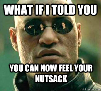 What if i told you you can now feel your nutsack  WhatIfIToldYouBing
