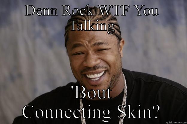 DENN ROCK WTF YOU TALKING 'BOUT CONNECTING SKIN? Xzibit meme