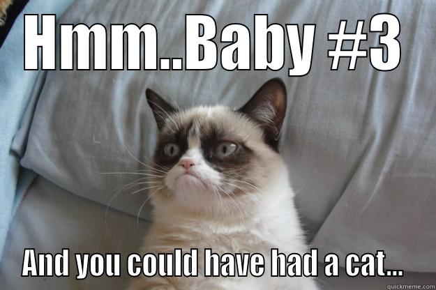 HMM..BABY #3 AND YOU COULD HAVE HAD A CAT...  Grumpy Cat