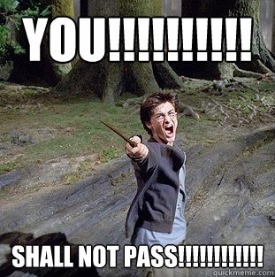 YOU!!!!!!!!!! SHALL NOT PASS!!!!!!!!!!!!  Pissed off Harry