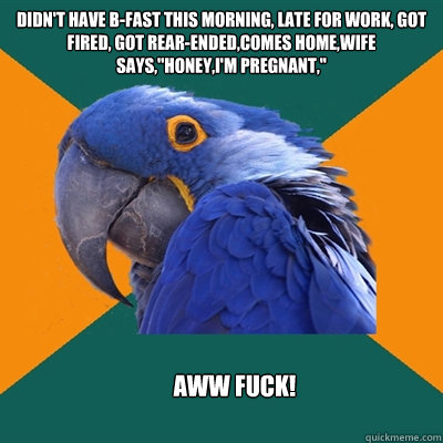 didn't have b-fast this morning, late for work, got fired, got rear-ended,comes home,wife says,''honey,i'm pregnant,'' AWW FUCK!  Paranoid Parrot