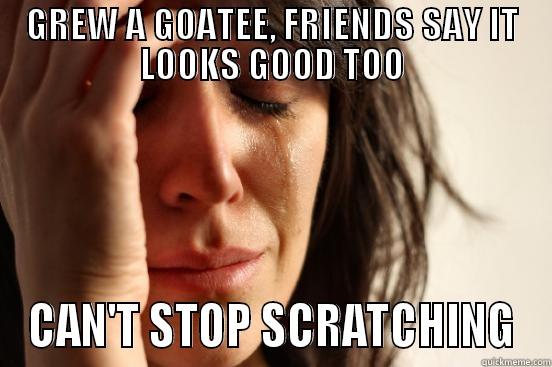 GREW A GOATEE, FRIENDS SAY IT LOOKS GOOD TOO CAN'T STOP SCRATCHING First World Problems