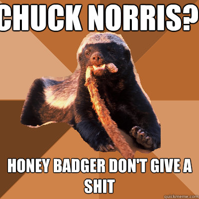 Chuck Norris?  honey badger don't give a shit  
