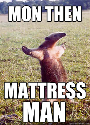 MON THEN MATTRESS MAN  Defiace Anteater