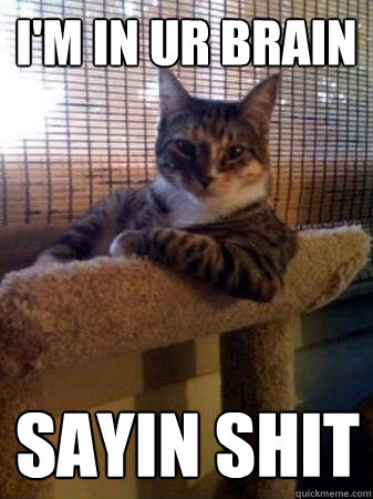 I'm in ur brain sayin shit  The Most Interesting Cat in the World