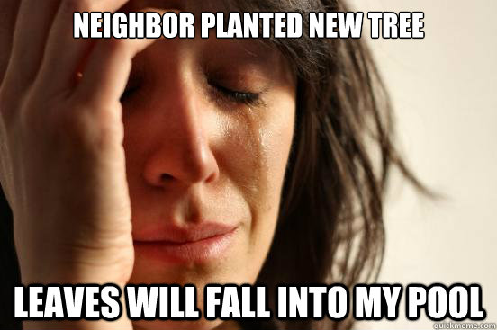 Neighbor planted new tree leaves will fall into my pool  First World Problems