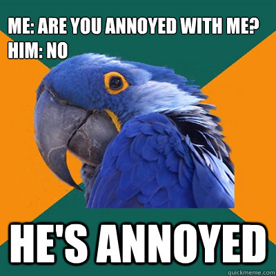 ME: are you annoyed with me?
HIM: NO He's annoyed  Paranoid Parrot