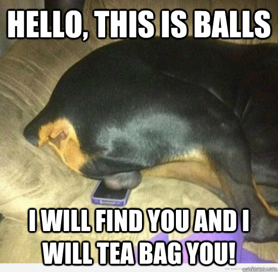 Hello, this is balls I will find you and i will tea bag you!  This is balls