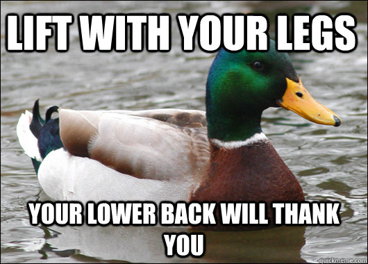 Lift with your legs Your lower back will thank you  Actual Advice Mallard