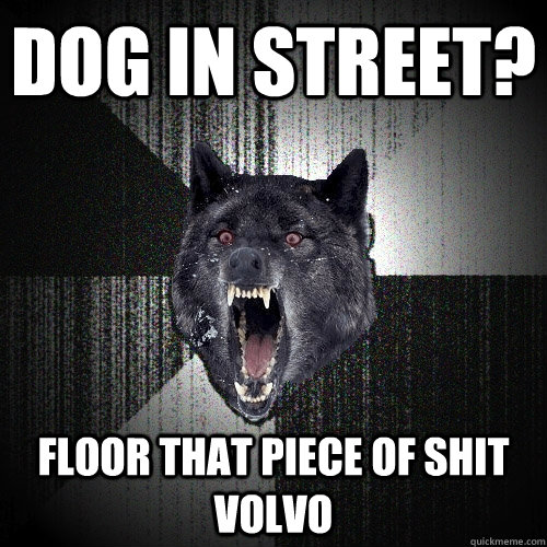 Dog in street? floor that piece of shit volvo  Insanity Wolf