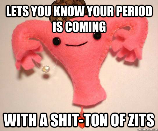 lets you know your period is coming with a shit-ton of zits  Scumbag Uterus