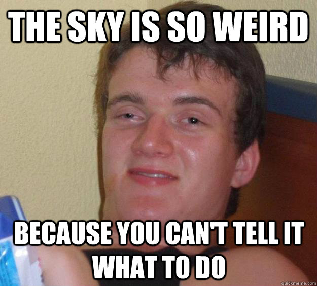 The sky is so weird because you can't tell it what to do  10 Guy