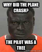 Why did the plane crash? The pilot was a tree  