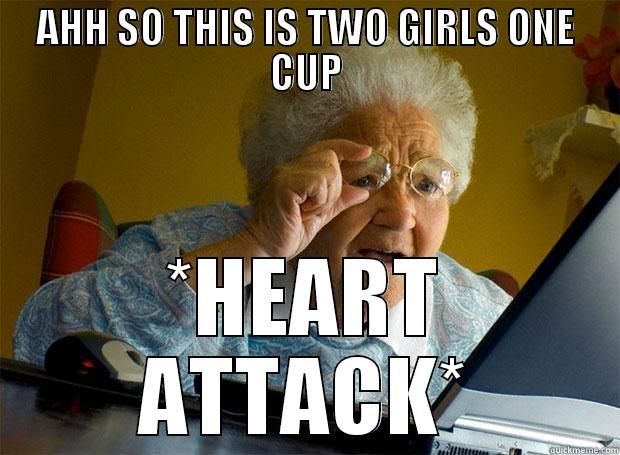 AHH SO THIS IS TWO GIRLS ONE CUP *HEART ATTACK* Grandma finds the Internet