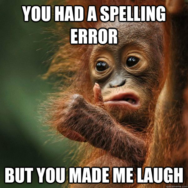 You had a spelling error  but you made me laugh - You had a spelling error  but you made me laugh  Approving Orangutan