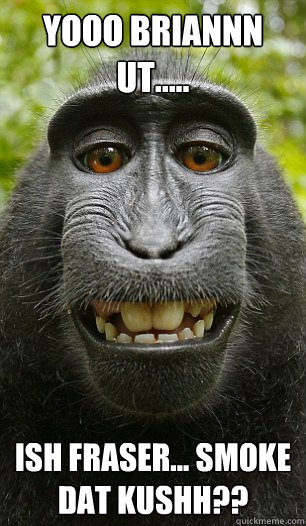 Yooo Briannn ut..... ish fraser... smoke dat kushh??   Mindful Macaque