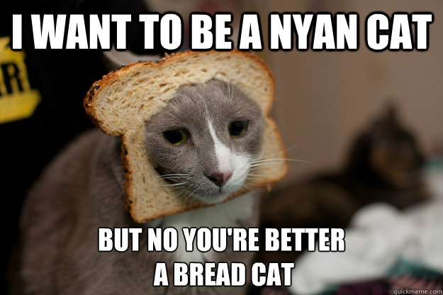 I WANT TO BE A NYAN CAT BUT NO YOU'RE BETTER
 A BREAD CAT  