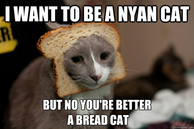 I WANT TO BE A NYAN CAT BUT NO YOU'RE BETTER
 A BREAD CAT - I WANT TO BE A NYAN CAT BUT NO YOU'RE BETTER
 A BREAD CAT  Bread Cat