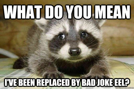 What do you mean i've been replaced by bad joke eel?  Sad ExLame Pun Raccoon