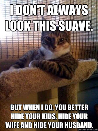 I don't always look this suave. But when i do, you better hide your kids, hide your wife and hide your husband.  The Most Interesting Cat in the World