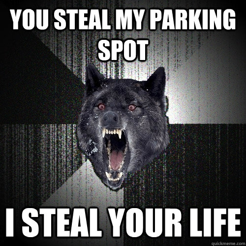 YOU STEAL MY PARKING SPOT I STEAL YOUR LIFE  Insanity Wolf