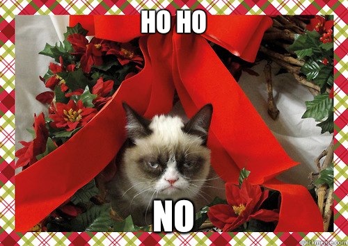 Ho ho No   A Grumpy Cat Christmas