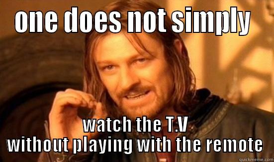 ONE DOES NOT SIMPLY  WATCH THE T.V WITHOUT PLAYING WITH THE REMOTE Boromir