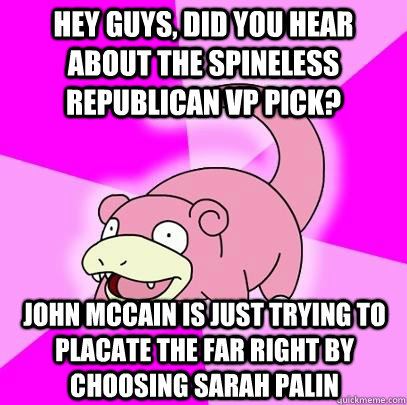 hey guys, did you hear about the spineless republican vp pick? John McCain is just trying to placate the far right by choosing Sarah Palin  Slowpoke