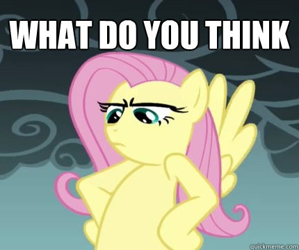 WHAT DO YOU THINK   Angry Fluttershy