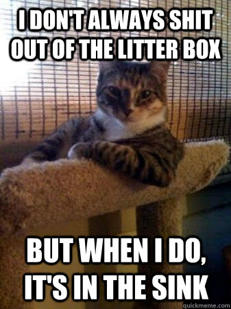 I don't always shit out of the litter box but when I do, It's in the sink   The Most Interesting Cat in the World
