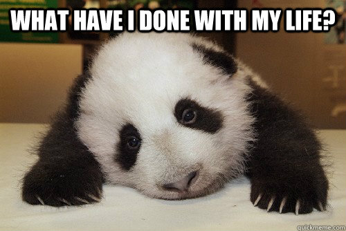 What have I done with my life?   Depressed Panda