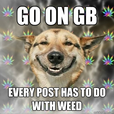 Go on GB Every post has to do with weed  Stoner Dog
