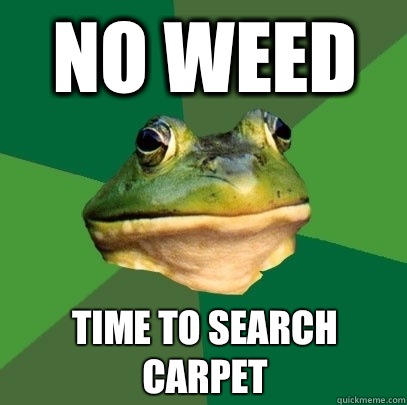 No weed Time to search carpet  Foul Bachelor Frog