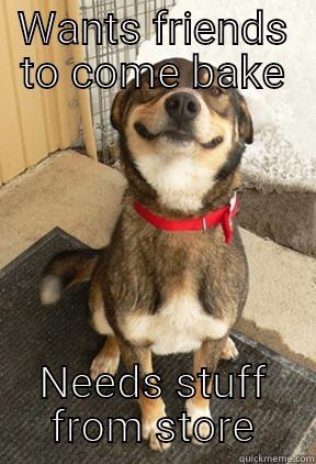 WANTS FRIENDS TO COME BAKE NEEDS STUFF FROM STORE Good Dog Greg