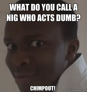 What do you call a nig who acts dumb? Chimpout! - What do you call a nig who acts dumb? Chimpout!  KSIolajidebt