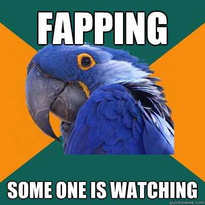 Fapping Some one is watching  Paranoid Parrot