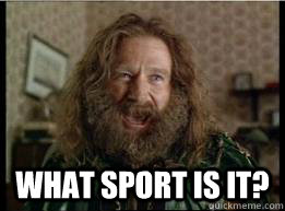  What sport is it?  What year is it