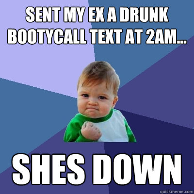 sent my ex a drunk bootycall text at 2am... shes down  Success Kid