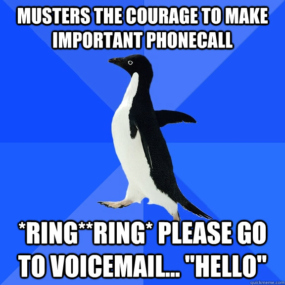 Musters the courage to make important phonecall *ring**ring* Please go to voicemail... 