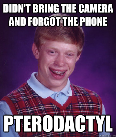 Didn't bring the camera and forgot the phone pterodactyl  Badluckbrian