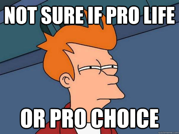 Not sure if pro life  or pro choice  Futurama Fry