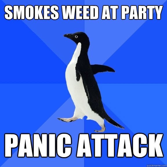 Smokes weed at party panic attack  Socially Awkward Penguin